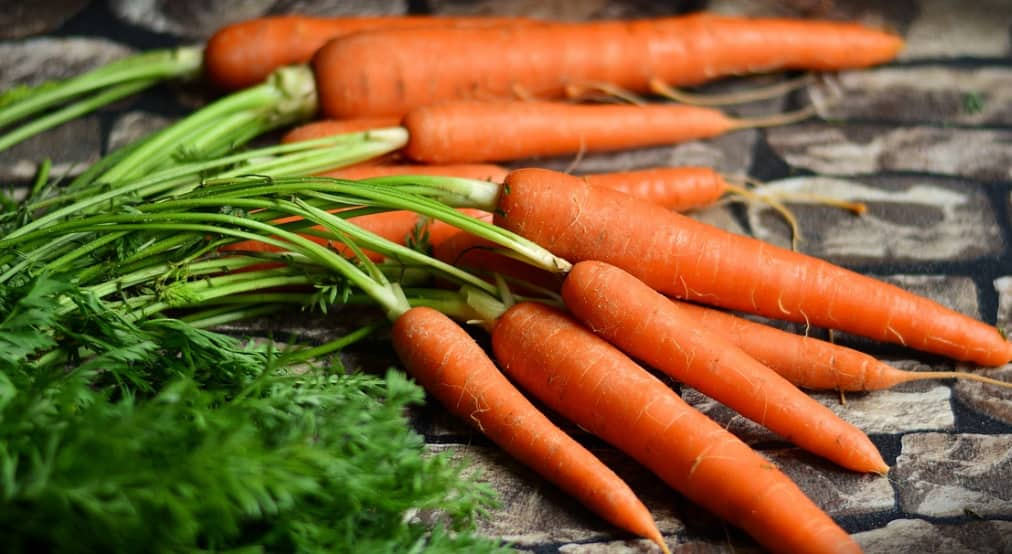 Semer des Carottes en Août: Est-ce Possible? 