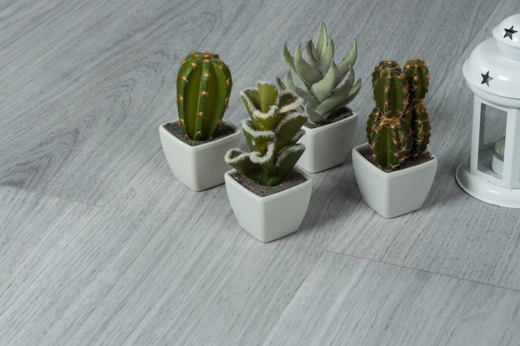 cactus dans de petits pots en céramique