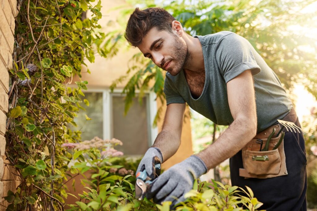 Man working in garden with tools, cutting leaves