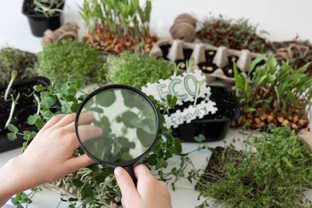 Vigilance Verte: Insectes et Plantes d’Intérieur
