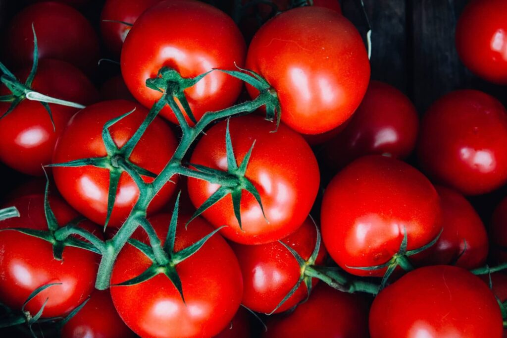 Vue de dessus des tomates
