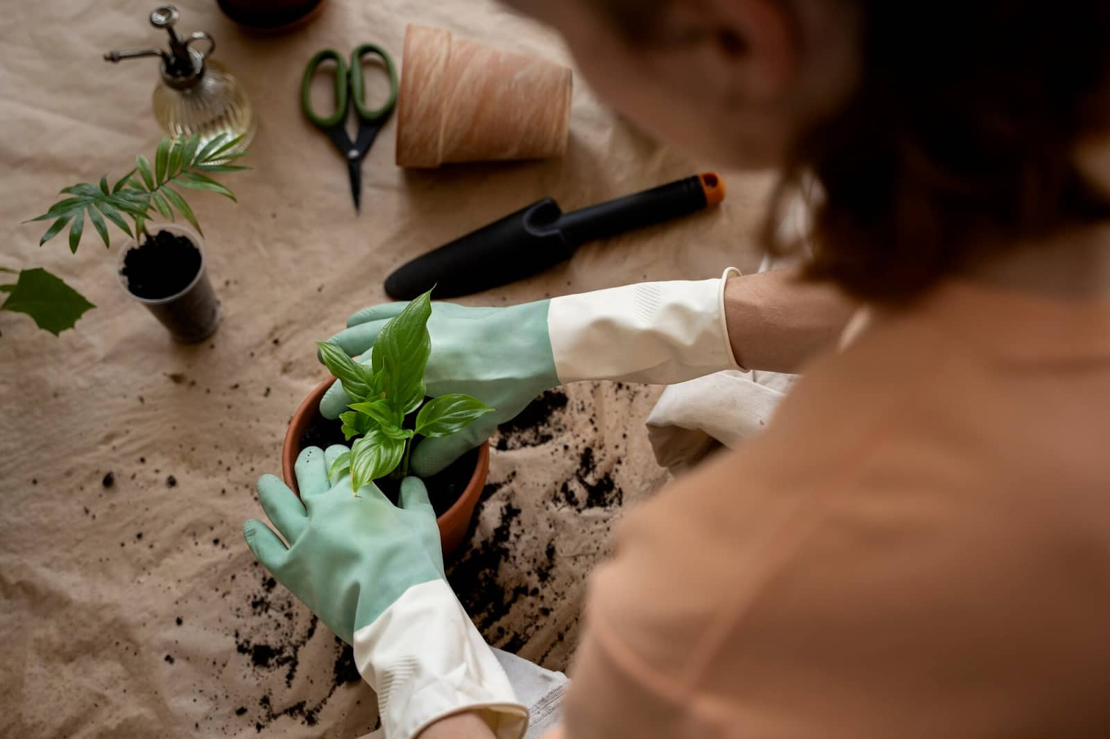 Un homme replante des plantes dans de nouveaux pots