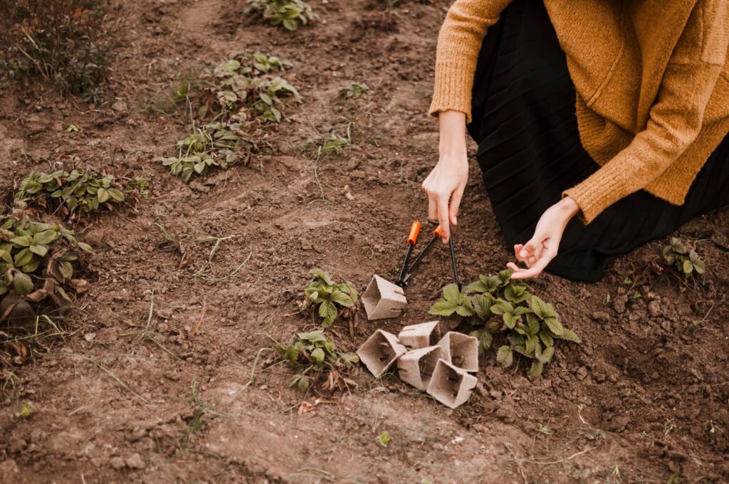 Jardinier plantant des plantes